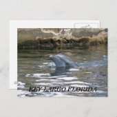 CARTE POSTALE 100_8578, FLORIDE KEY LARGO (Devant / Derrière)