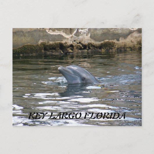 CARTE POSTALE 100_8578, FLORIDE KEY LARGO (Devant)