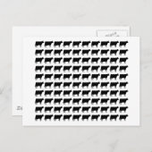 Carte Postale 100 vaches (Devant / Derrière)