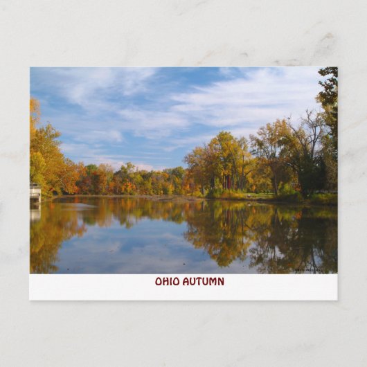 CARTE POSTALE 101011-90PC (Devant)
