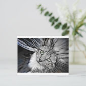 Carte Postale 10 - L'engin de chasse (Debout devant)