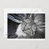 Carte Postale 10 - L'engin de chasse (Devant / Derrière)