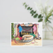 Carte Postale 10 minutes après le réveil des chats (Debout devant)