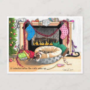 Carte Postale 10 minutes après le réveil des chats