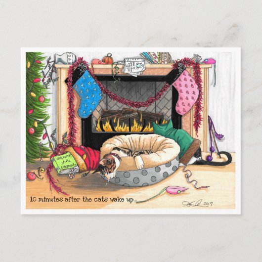 Carte Postale 10 minutes après le réveil des chats (Devant)