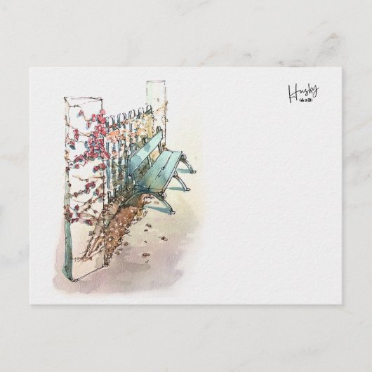 Carte Postale 10 : Un banc avec lierre (Devant)