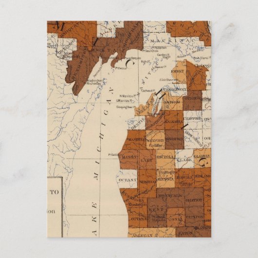 Carte Postale 110 fièvre typhoïde Michigan (Devant)