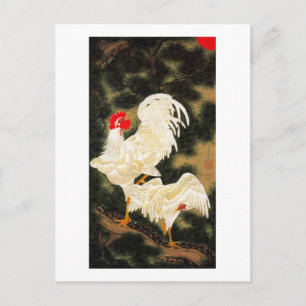 Carte Postale 11. 老 松 白 図, 若 Pin 冲 et Poulets blancs, Jakuchu