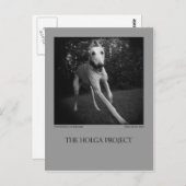 Carte postale 11 de parc de chien (Devant / Derrière)