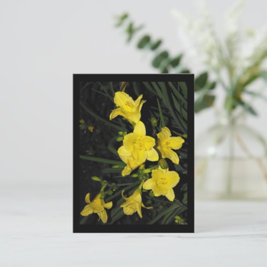 Carte Postale ~ 11 été ~ (Debout devant)