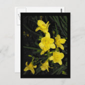 Carte Postale ~ 11 été ~ (Devant / Derrière)