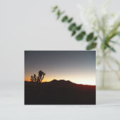 Carte Postale 12/10/11 Coucher de soleil (Debout devant)