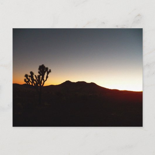 Carte Postale 12/10/11 Coucher de soleil (Devant)