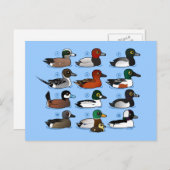 Carte Postale 12 Canards (Devant / Derrière)