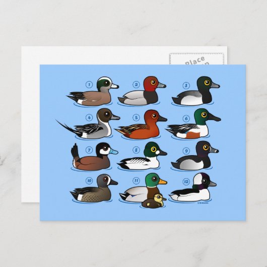 Carte Postale 12 Canards (Devant / Derrière)