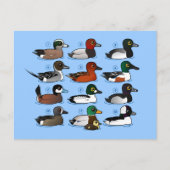 Carte Postale 12 Canards (Devant)
