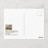 CARTE POSTALE 130707 (Dos)