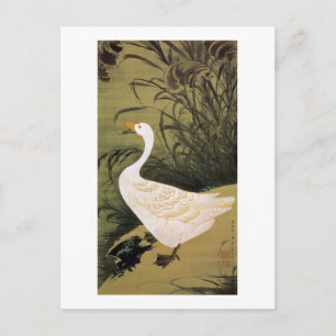 Carte Postale 13. 芦 鵞 図, 冲 Reed & Goose, Jakuchu, Japon Art