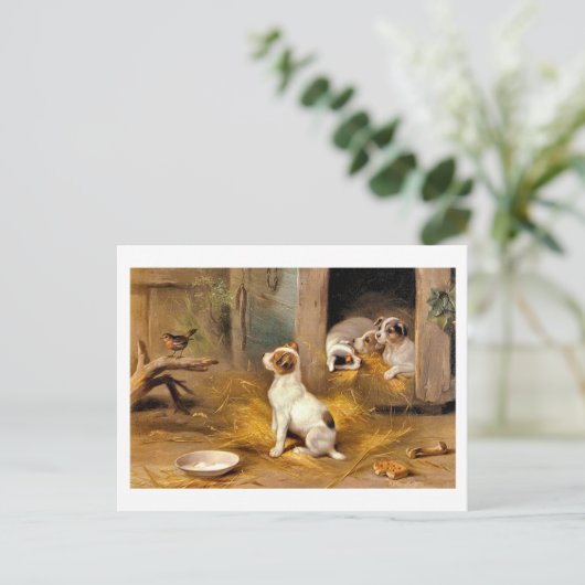 Carte Postale 13a Les Chiots (Debout devant)