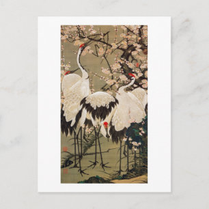 Carte Postale 15. 梅 花 群 鶴 図, 若 Plum Blossoms & Cranes, Jakuchú, 
