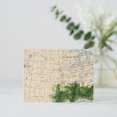 Carte Postale 165 Coton/mille² (Debout devant)