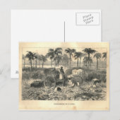 Carte Postale 1877 Imprimer Cuba Antilles, Terre et ses peuples (Devant / Derrière)