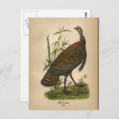 Carte postale 1890 Bird Wild Turkey (Devant / Derrière)