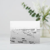 Carte postale 1900 Marblehead Harbour Massachusett (Debout devant)