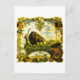 Carte Postale 1901 Exposition Panaméricaine Buffalo NY Motif Ind