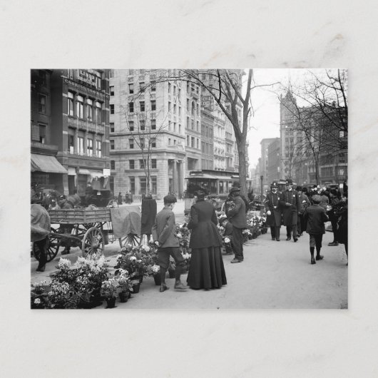 Carte postale 1904 de Pâques Fowers NYC (Devant)