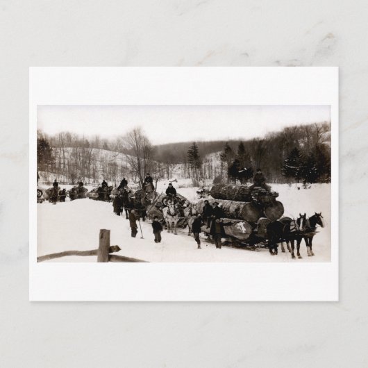 Carte Postale 1905 Lumberjacks au travail (Devant)