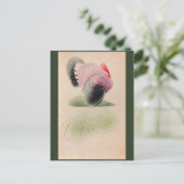 Carte Postale 1907 Vintage Thanksgiving rose et gris Turquie (Debout devant)