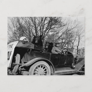 Carte Postale 1910's Touring CAR avec deux ours Auto photo Vinta