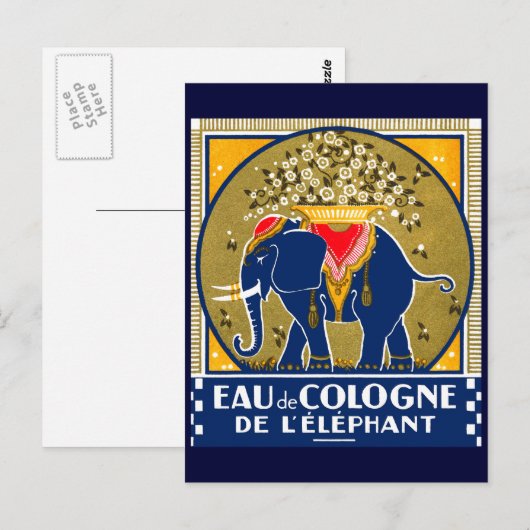 Carte Postale 1925 Cologne De L'Elephant (Devant / Derrière)