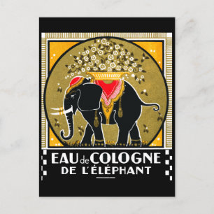 Carte Postale 1925 Cologne De L'Elephant