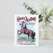 Carte Postale 19e C. Couvertures Chase Horse (Debout devant)