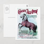 Carte Postale 19e C. Couvertures Chase Horse (Devant / Derrière)