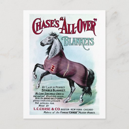 Carte Postale 19e C. Couvertures Chase Horse (Devant)