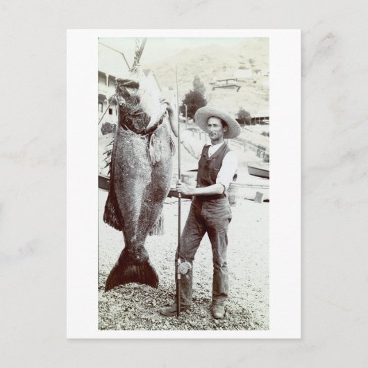Carte Postale 19e C. Pêcheur et Goliath Grouper (Devant)