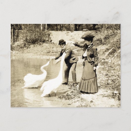 Carte Postale 19ème C. Swans à Paris (Devant)