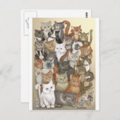 Carte Postale 1 000 chats (Devant / Derrière)
