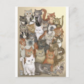 Carte Postale 1 000 chats (Devant)