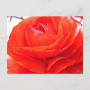 Carte Postale 1 4 Vous