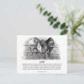 Carte Postale 1 Corinthiens 13 : Amour, Chevaux au crayon (Debout devant)
