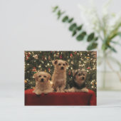 Carte postale 1 de Noël de chiot (Debout devant)