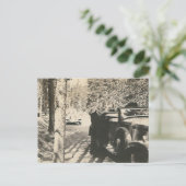 Carte Postale 1 en 2 bears at car (Debout devant)