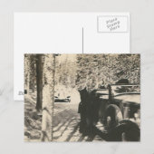 Carte Postale 1 en 2 bears at car (Devant / Derrière)