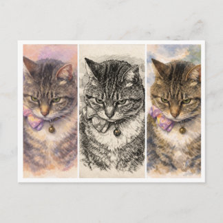 Carte Postale 1 Humeur + 3 Ambianœuvres = Purrfection totale