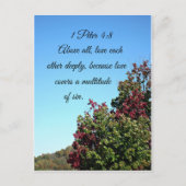 Carte Postale 1 Pierre 4:8 Et surtout, aimez-vous profondément l (Devant)