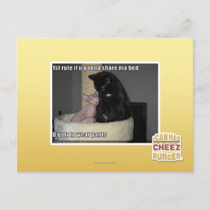 Carte Postale 1st rule if u gonna share ma bed